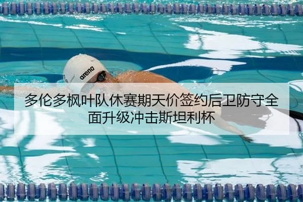 多伦多枫叶队休赛期天价签约后卫防守全面升级冲击斯坦利杯